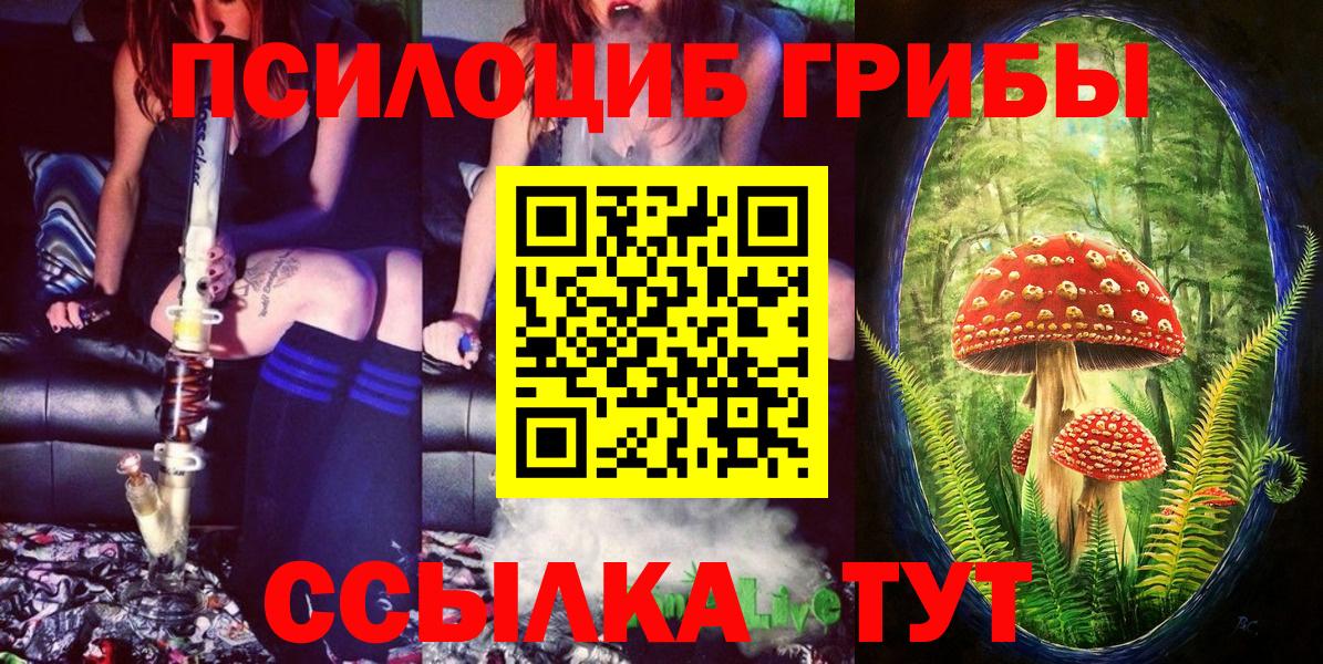 Галлюциногенные грибы прущие грибы  Вход с VPN  Псилоцибиновые грибы GOLDEN TEACHER  Моздок 